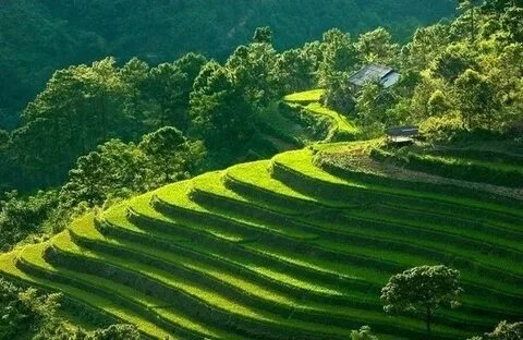 Hotspot Matrix – Kết thúc hành trình 3 ngày rực rỡ tại SECC 2025_Video ngắn TikTok