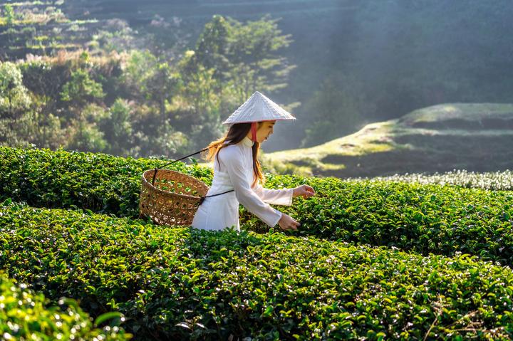 Video ngắn – Giải pháp truyền thông thông minh cho doanh nghiệp nhỏ